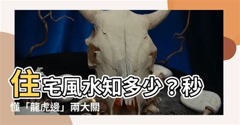 虎邊擺設|【住宅龍虎邊】住宅風水知多少？秒懂「龍虎邊」兩大。